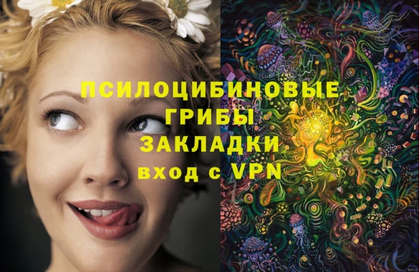 прущая мука Аша