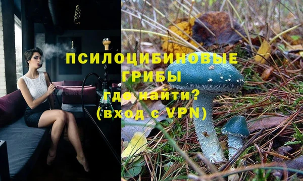 трава Беломорск