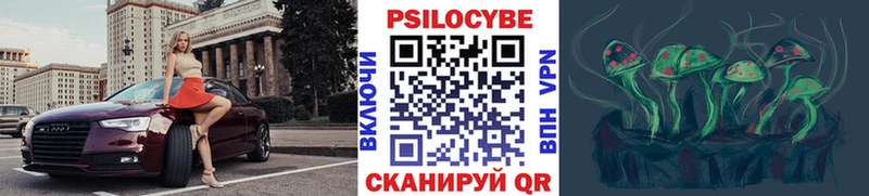 Галлюциногенные грибы Psilocybine cubensis  Бологое 