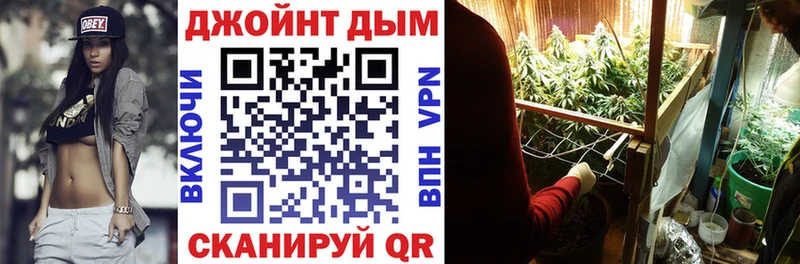 МАРИХУАНА сатива Бологое